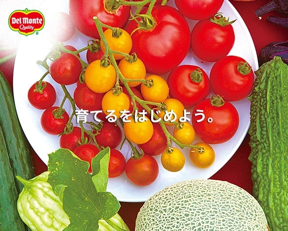 キッコウマンページ キッコーマン株式会社