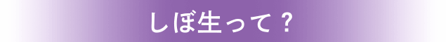 しぼ生って?